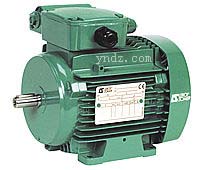 單相TEFV感應(yīng)電機(jī) LS single phase TEFV,法國利萊森瑪電動機(jī),Leroy-Somer交流電動機(jī)系列,單相TEFV感應(yīng)電動機(jī),三相TEFV感應(yīng)電動機(jī),變速電動機(jī),三相TEFV抽煙感應(yīng)電動機(jī),三相PLS系列防水電動機(jī),Leroy-Somer利萊森瑪直流電機(jī)系列,封閉型直流電機(jī),防濺直流電機(jī),法國利萊森瑪減速電動機(jī)系列,齒輪電機(jī),減速電機(jī),減速箱,執(zhí)行器,Leroy-Somer