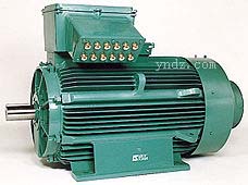 三相TEFV感應(yīng)電機(jī) FLS 3-phase TEFV,法國利萊森瑪電動(dòng)機(jī),Leroy-Somer交流電動(dòng)機(jī)系列,單相TEFV感應(yīng)電動(dòng)機(jī),三相感應(yīng)電動(dòng)機(jī),變速電動(dòng)機(jī),三相TEFV抽煙感應(yīng)電動(dòng)機(jī),三相PLS系列防水電動(dòng)機(jī),Leroy-Somer利萊森瑪直流電機(jī)系列,封閉型直流電機(jī),防濺直流電機(jī),法國利萊森瑪減速電動(dòng)機(jī)系列,齒輪電機(jī),減速電機(jī),減速箱,執(zhí)行器,Leroy-Somer