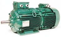 三相TEFV感應(yīng)電機系列FLSB-FLSLB slip-ring 3-phase TEFV,法國利萊森瑪電動機,Leroy-Somer交流電動機系列,單相TEFV感應(yīng)電動機,三相TEFV感應(yīng)電動機,變速電動機,三相TEFV抽煙感應(yīng)電動機,三相PLS系列防水電動機,Leroy-Somer利萊森瑪直流電機系列,封閉型直流電機,防濺直流電機,法國利萊森瑪減速電動機系列,齒輪電機,減速電機,減速箱,執(zhí)行器,Leroy-Somer