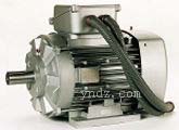 三相TEFV抽煙感應(yīng)電機(jī)3-phase TEFV for smoke extraction Lucifer HTA,法國利萊森瑪電動(dòng)機(jī),Leroy-Somer交流電動(dòng)機(jī)系列,單相TEFV感應(yīng)電動(dòng)機(jī),三相TEFV感應(yīng)電動(dòng)機(jī),變速電動(dòng)機(jī),三相TEFV抽煙感應(yīng)電動(dòng)機(jī),三相PLS系列防水電動(dòng)機(jī),Leroy-Somer利萊森瑪直流電機(jī)系列,封閉型直流電機(jī),防濺直流電機(jī),法國利萊森瑪減速電動(dòng)機(jī)系列,齒輪電機(jī),減速電機(jī),減速箱,執(zhí)行器,Leroy-Somer